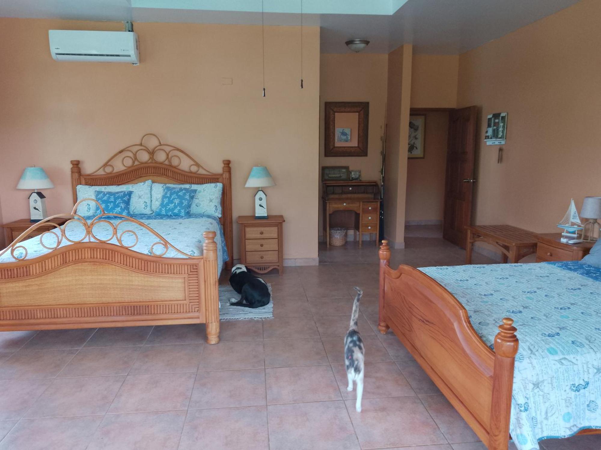 Gone Fishing Panama Resort Boca Chica Εξωτερικό φωτογραφία